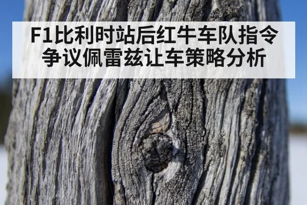 F1比利时站后红牛车队指令争议佩雷兹让车策略分析