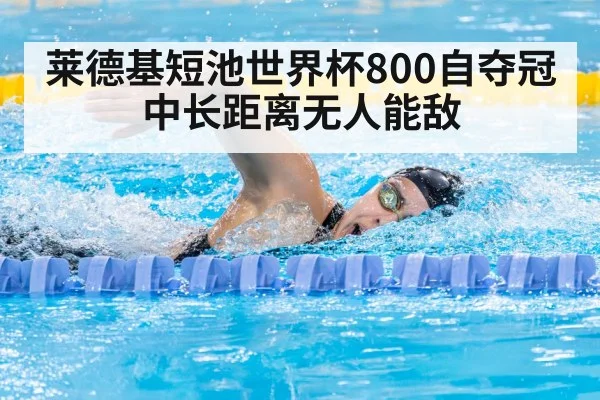 莱德基短池世界杯800自夺冠 中长距离无人能敌
